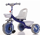 Safe Kids 3-Wheels Kids Tricycle manufacturer