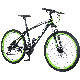 Carbon Steel Frame Customise 26inch 21 Speed Mountain Bike/Bicycle for Adult manufacturer