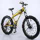 Factory Supply Wholsesale 26 Inch 21 Speed Mountain Bike Fat Tire Bicycle manufacturer