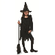  Child Little Witch Halloween Costume