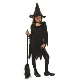 Child Little Witch Halloween Costume