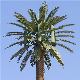  Customized Camouflaged Telecommunication Cell Phone Artificial Outdoor Palm Trees Tower