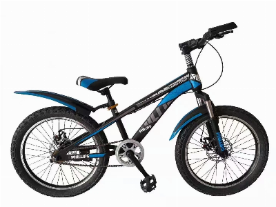 Factory Wholesale 20" MTB Type Girl for Kids Child Bicycle for 10 Years Old Boy Toy Kids Bikes