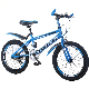 Hot Sale Steel Frame Students Bicycle Factory Price MTB Bike