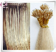 Nano Ring Cuticle Hair Extensions Remy Human Hair