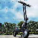 11inch New Folding High Powerful Electric Scooter with Electronic and Disc Brake