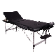 CE Certification Salon Aluminum Folding Massage Bed with Waterproof Handbag Bag