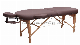 Professional European-Style Brown Folding SPA Tattoo Massage Table Bed Furniture