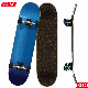 31 PRO Complete Skateboard 7 Layer Maple Wood Skateboard Deck for Extreme Sports and Outdoors