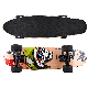 New Design Fashion Longboard Skateboard Ms-QC01