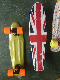Fish Skateboard with Color Box Packing (ET-PSY001) manufacturer