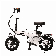  CE Certified Electric Scooter with 350W Motor and 42V Battery