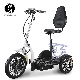 Original Factory Zappy 500W 800W 3 Wheel Electric Trike Mobility Scooter Disabled Handicapped Scooters Wheelchair