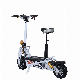  48V 1000W EEC/Coc Two Wheel Adult Folding Electric Scooter with CE Approved