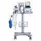  Cheap Price Portable Veterinary Instrument Animal Anesthesia Machine with Ventilator
