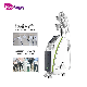 Body Slimming Weight Loss Cryolipolysis Fat Freezing Machine