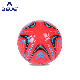  Customized Cheap Size 2 Kids Soccer Ball for Promotion