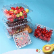 wholesale factory  PET Fruit and vegetable  punnets Food Container with EU regulation