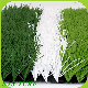 50mm Height Artificial Grass Sports Flooring for Football Grass