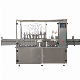  Thg100 Series Automatic Liquid Filling Machine