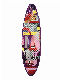 New 24-Inch Plastic Penny Board Skateboard (GS-SB-X26) manufacturer