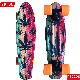 22 Skateboard Plastic Skate Board with LED Light up Wheels manufacturer