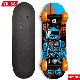 2023 New Design Kids Skateboard 17inch Cheap Complete Wholesale Kids Skateboard with Plastic Truck and Wheels manufacturer