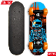  2023 New Design Kids Skateboard 17inch Cheap Complete Wholesale Kids Skateboard with Plastic Truck and Wheels