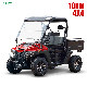  2024 New 10KW Side by Side SSV Utility Vehicle 2 Seat Off Road 4X4 Farm Electric UTV for adults