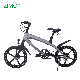  2023 Hot Sale 240W Pedal Assist E Bicycle Electric Bike