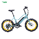 2023 Customized Pedal Assist Electric Bike 48V 750W Fat Tire Electric Bicycle manufacturer