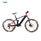 Pedal Assist 36V 250W Mountain Electric Bike Adult Electric Mountain Bicycle manufacturer