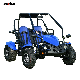  2023 Gasoline 4 Stroke Racing Dune Buggy Off-Road Go Kart for Adults