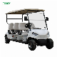  2023 Wholesale Electric Off Road Handicap Golf Cart for adult