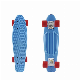 4 Wheel Plastic Skateboard 22 in Penny Board and PU Wheel manufacturer