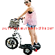  3 Wheels Folding Electric Skateboard Electric Scooter with Lithium Battery for Adult and Kids