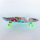 23 Newest Portable Skateboard with Heat Print manufacturer