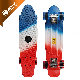 22 Mini Plastic Penny Board with CE Certificated Skateboard manufacturer