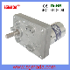  0.8-3.6W 3-36V DC DC Gear Motor (ZF-545) High Torque Low Noise