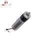  36V 50W 52mm Planetary Brushless DC Motor