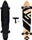  7ply Maple Wood Fish Long Board Skateboard