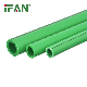 Ifan Customized 20-63mm PPR PVC Pex HDPE Plumbing Material Pprc Tube Pn25 Aluminum Plastic PPR Pipe