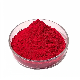  Best Quality Inclusion Red Ceramic Pigment Porcelain Glass Color Powder