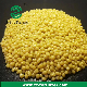 Di Ammonium Phosphate (DAP 18-46-0) in Yellow Colore