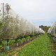 Durable HDPE with UV Agricultural Insect Proof Net
