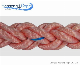  PP Rope The Strongest Marine Rope Polypropylene