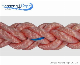 PP Rope The Strongest Marine Rope Polypropylene