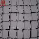 Commercial Use HDPE Bird Control Fish Sports Agriculture Knotted Net