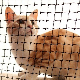 Factory Price Pet Nylon Cat Safety Net PE Cat Net