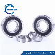  60 62 68 69 Series Motor/Engine Deep Groove Ball Bearing for Indutrial/Householding